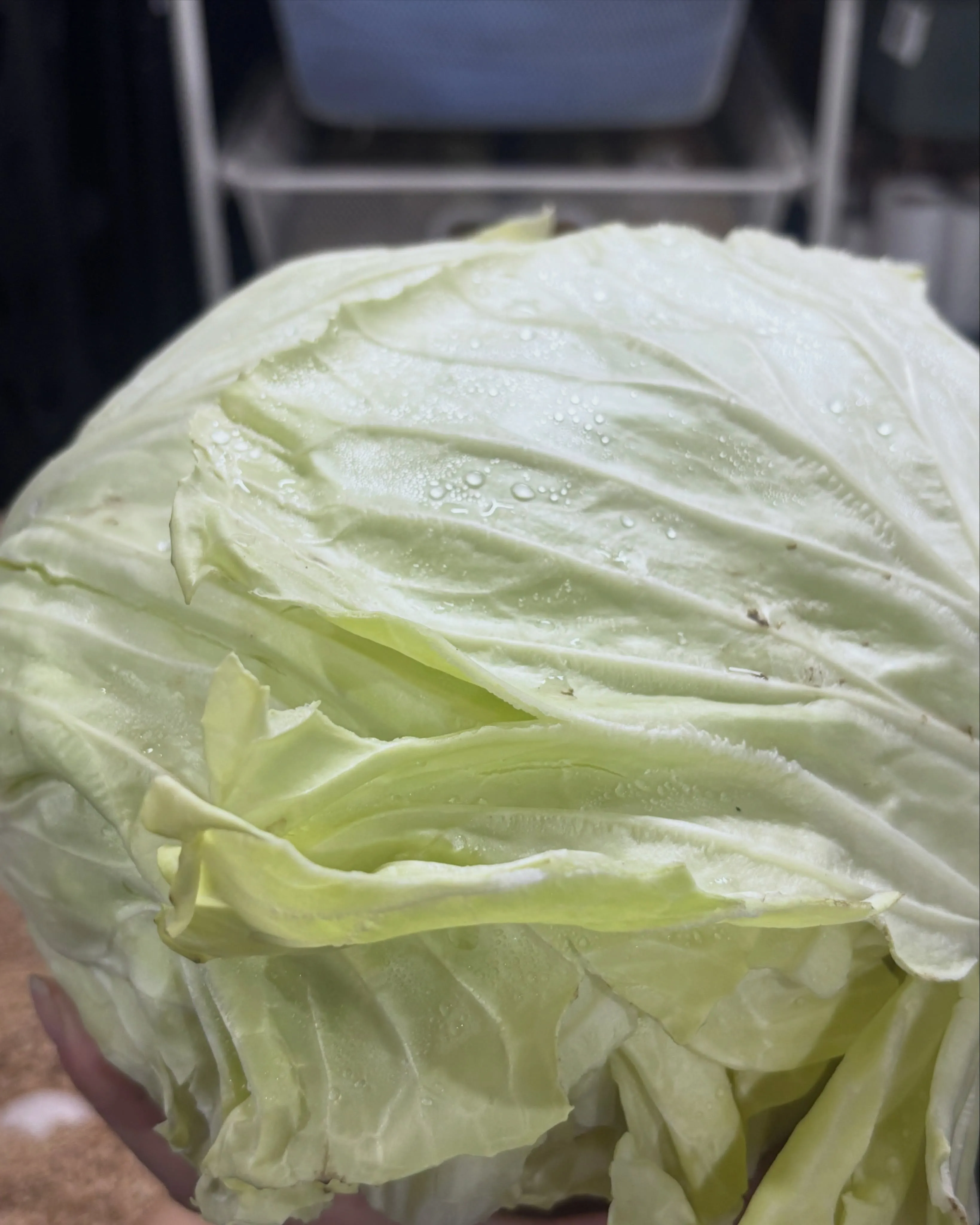 【トヨタ ハイエース】